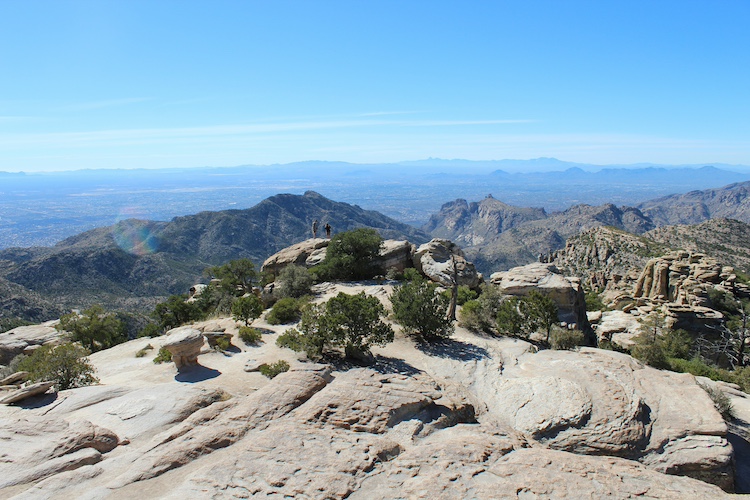 Nearing the upper reaches of Mount Lemmon, Tucson, Arizona